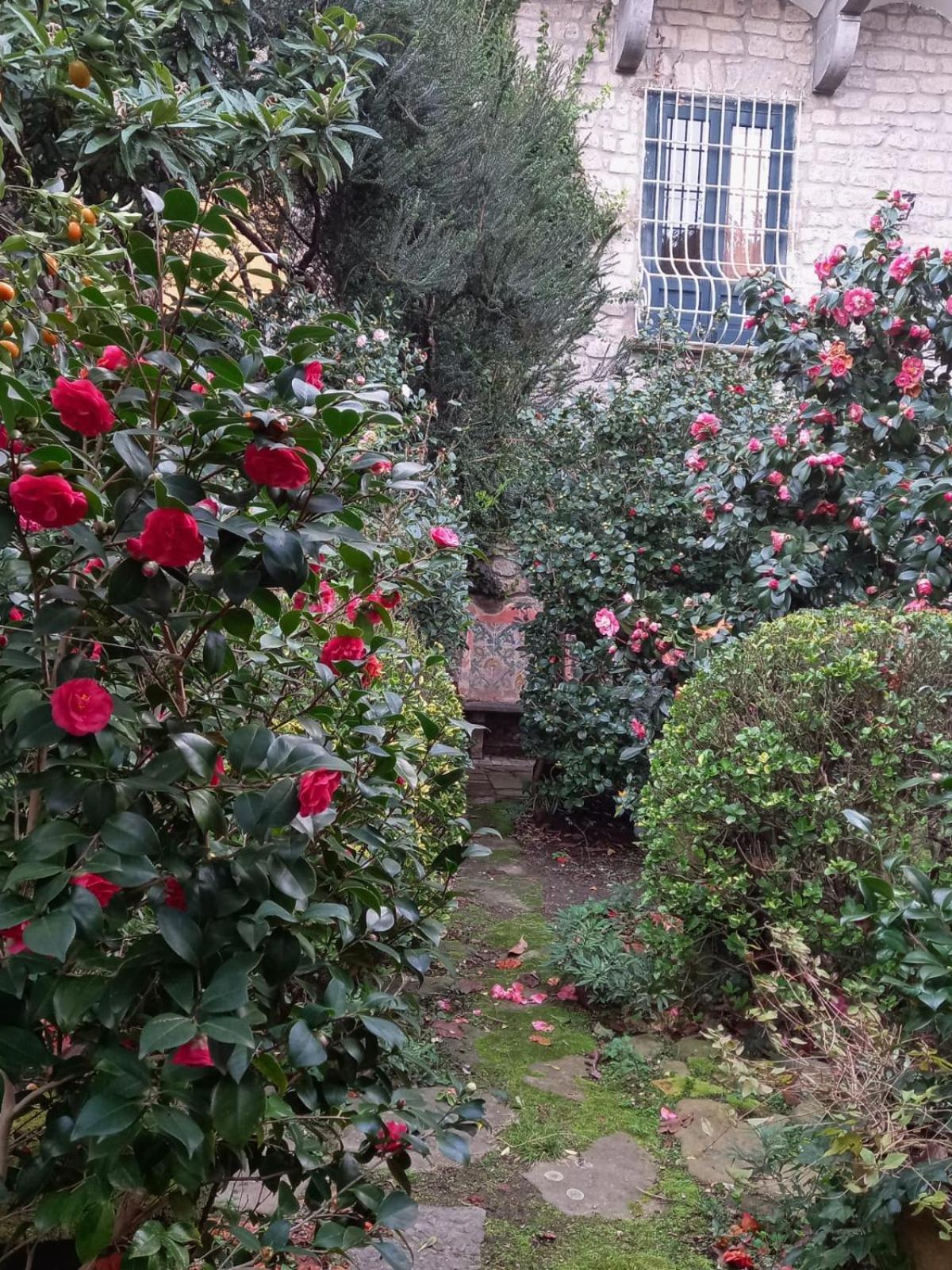Vila L'Antica Dimora Meta Exteriér fotografie