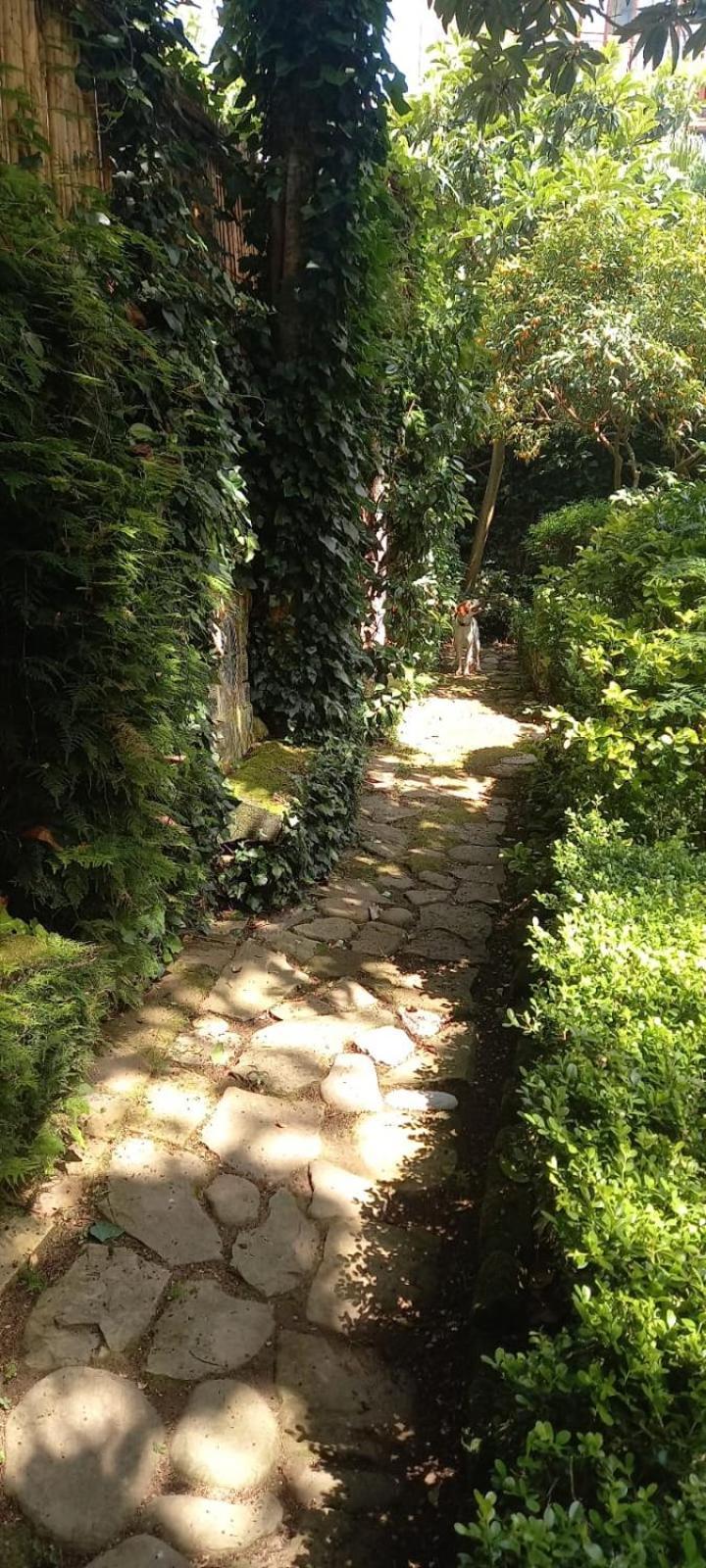 Vila L'Antica Dimora Meta Exteriér fotografie