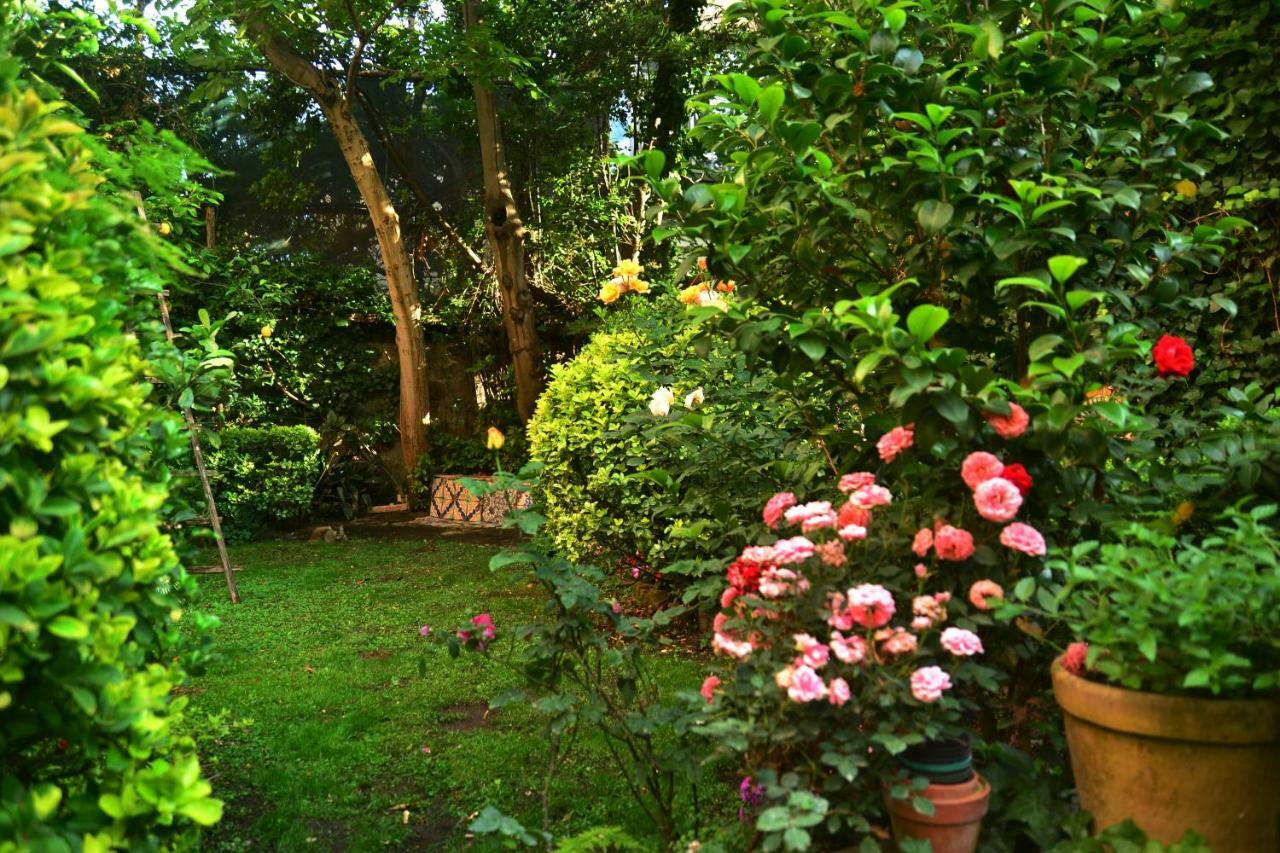 Vila L'Antica Dimora Meta Exteriér fotografie