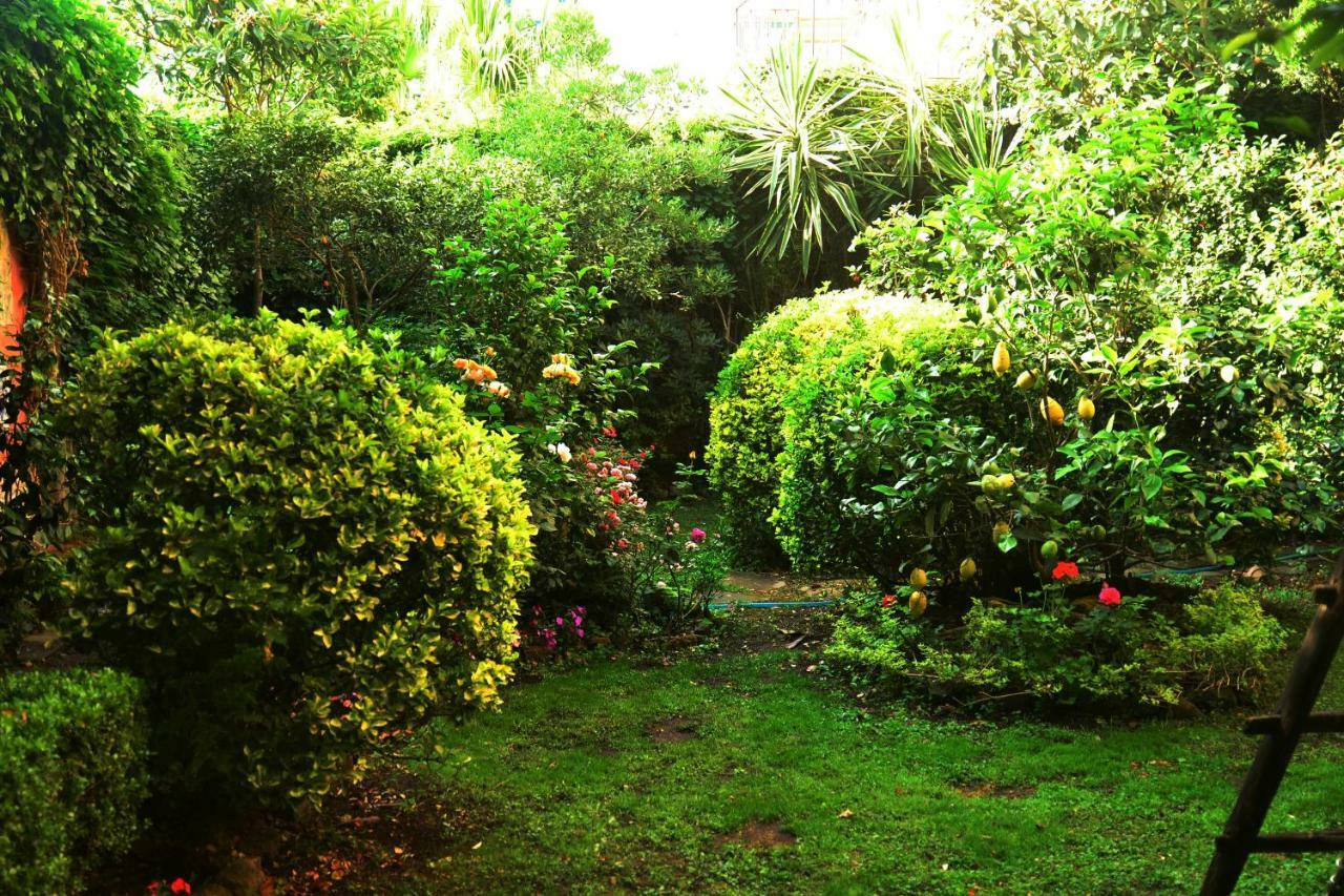 Vila L'Antica Dimora Meta Exteriér fotografie